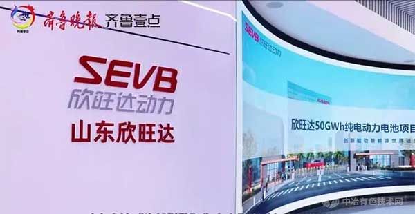 山东欣旺达 山东欣旺达