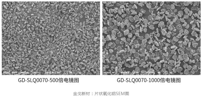 金戈新材：片状氧化铝SEM图