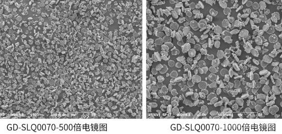 金戈新材：技术创新引领高端功能性材料国产化新篇章