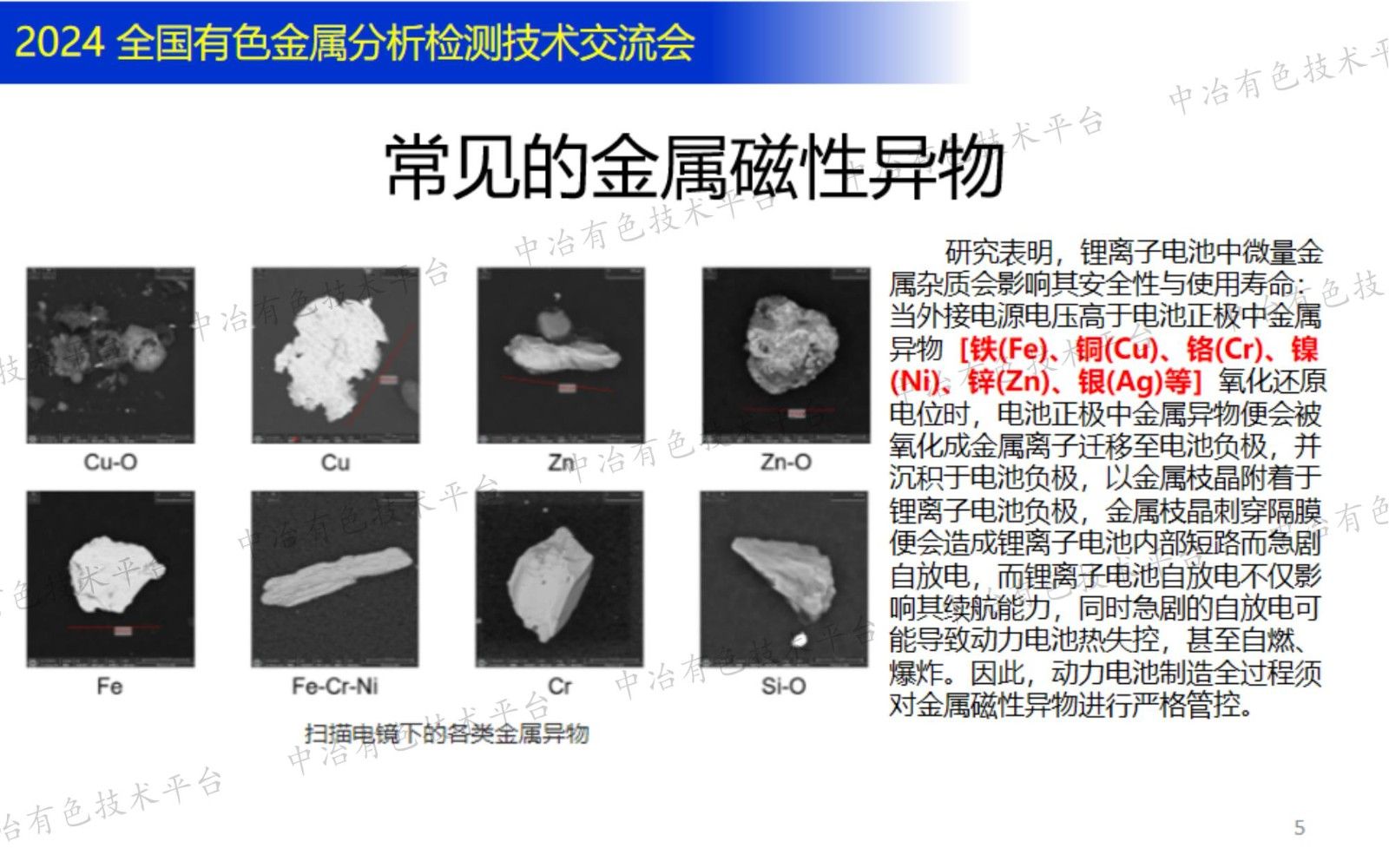 锂电材料金属及磁性异物分析与过程控制