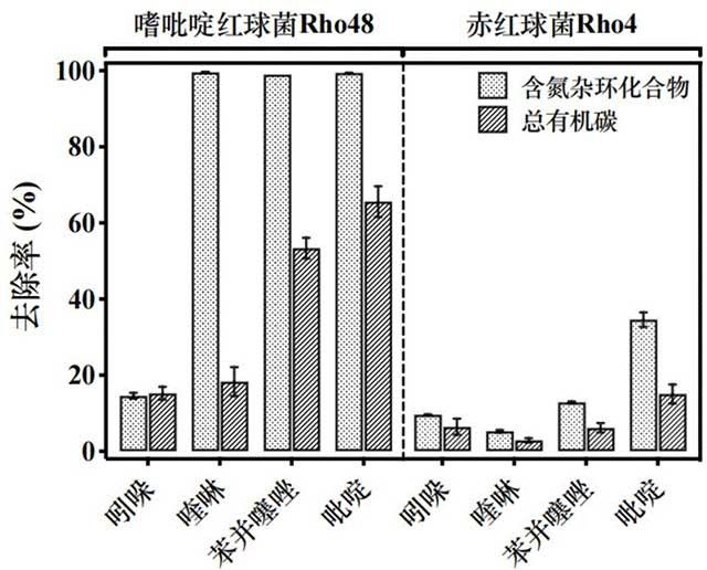 降解含氮杂环化合物的微生物及其在废水处理中的应用