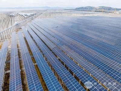 BNEF 25Q1榜单揭晓：天合光能连续称雄一级光伏组件制造商