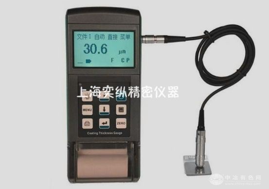 TT260漆膜测厚仪（带打印功能）