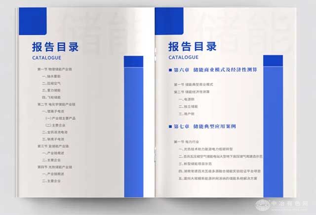 储能产业发展及商业模式（2025）