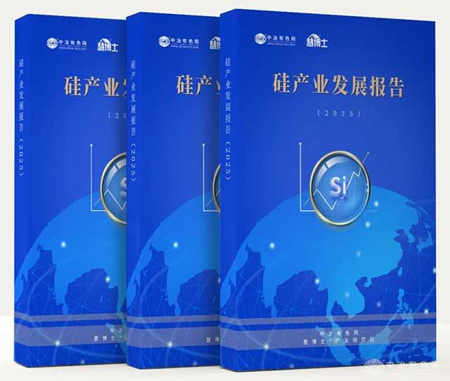 硅产业发展报告