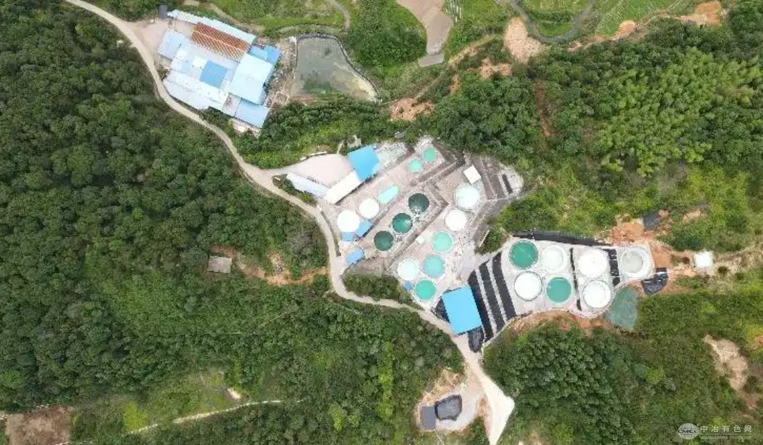 广晟有色2024年稀土业务结构调整成效显著 氧化物销量激增61%