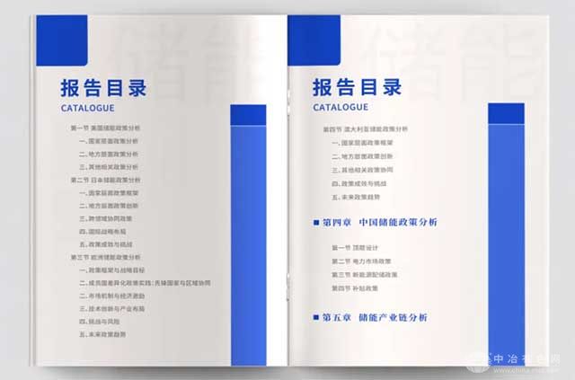 储能产业发展及商业模式（2025）