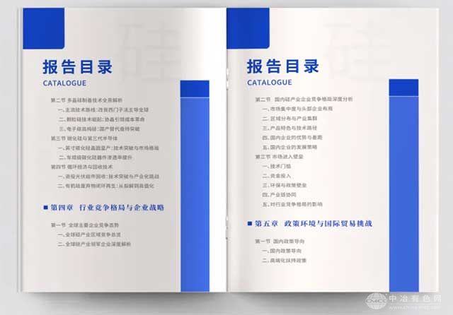 硅产业发展报告