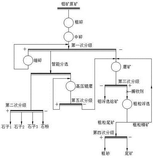 低品位钼矿选前抛尾方法