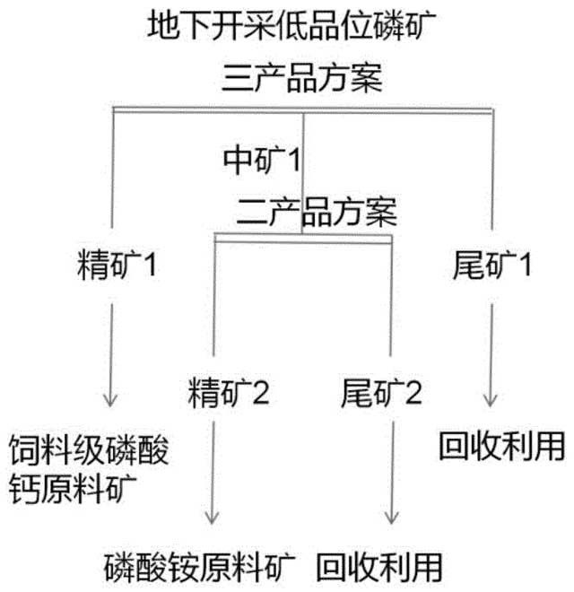 基于光电选矿预分选地下开采低品位磷矿的系统及其方法