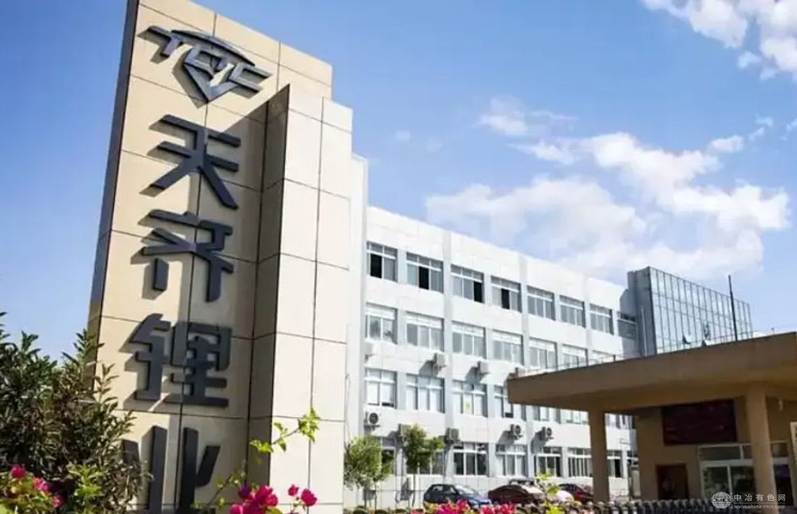 国内两大锂业巨头2025年一季度业绩呈现不同走势