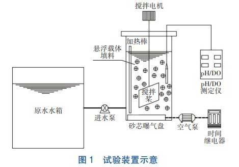 污水处理低基质CANON工艺曝气方式的影响