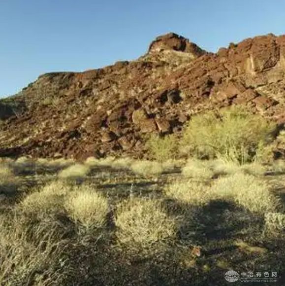 美国初创企业阿尔塔资源获战略投资 推进关键矿产生物提取技术