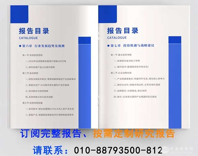 镁产业报告2025