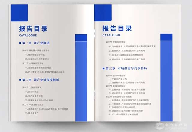 镁产业报告2025