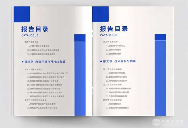 镁产业报告2025