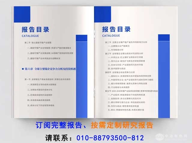 中国镍企业全球竞争力发展报告