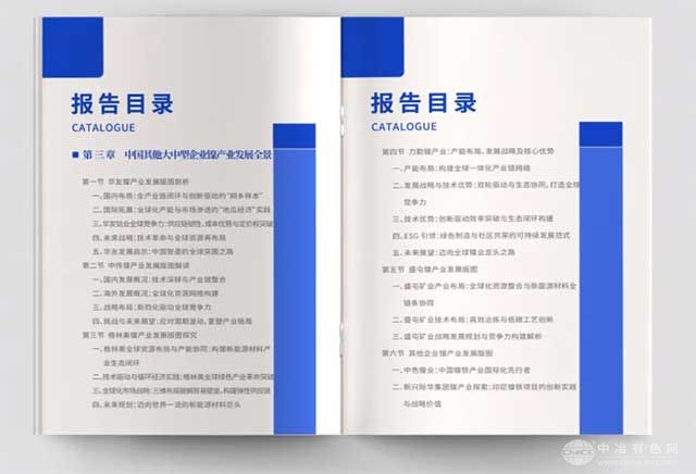 中国镍企业全球竞争力发展报告