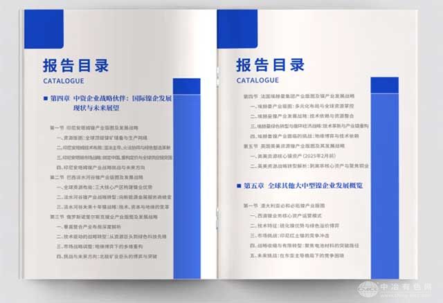 中国镍企业全球竞争力发展报告