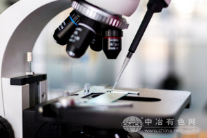 金相显微镜