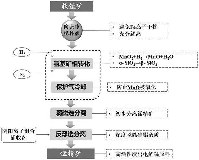 软锰矿基于氢基矿相转化的弱磁选-反浮选工艺