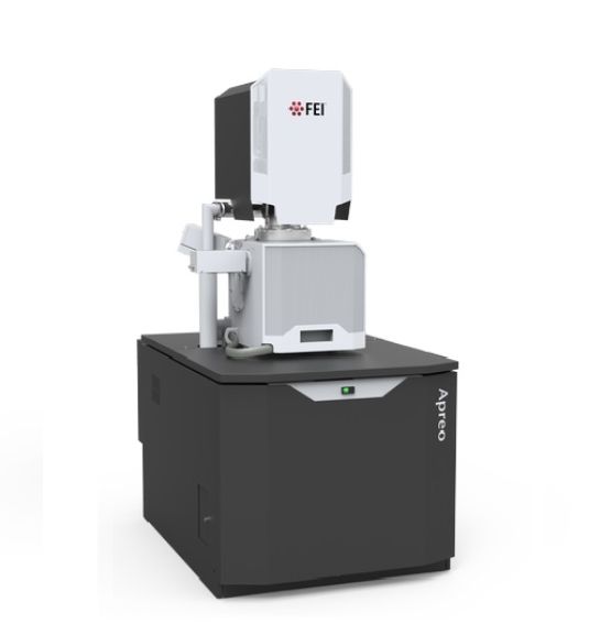 扫描电子显微镜（SEM）