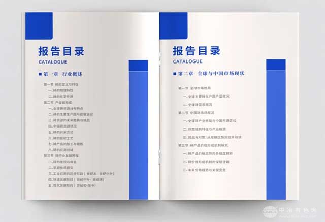 碲产业报告2025