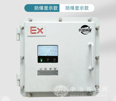 保防爆型气体检测仪