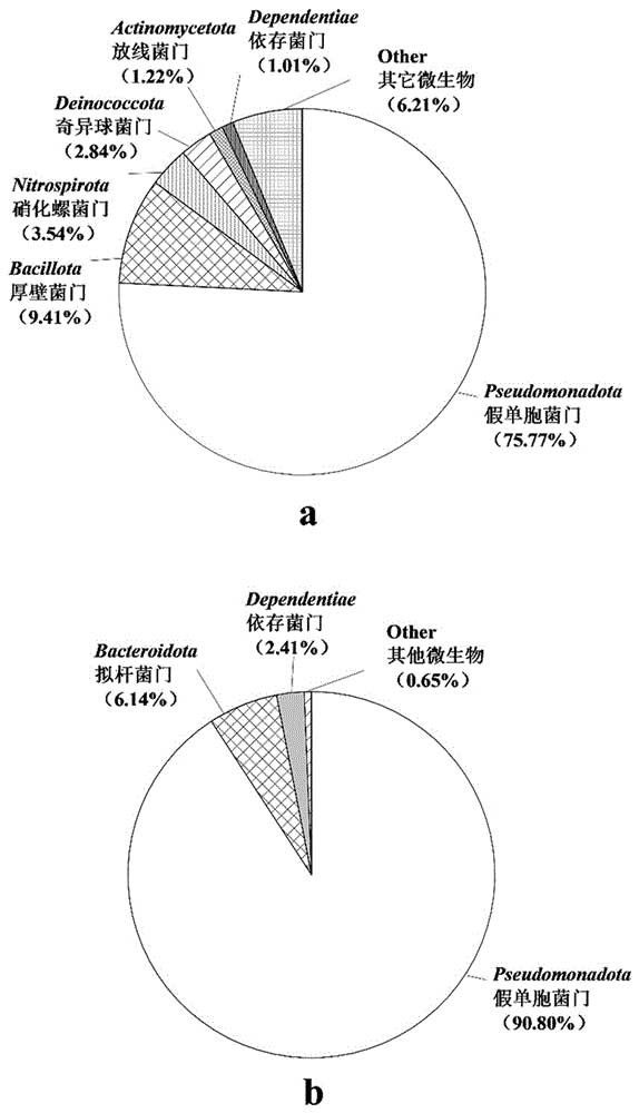 用于处理对含砷和丁基黄药复合污染废水的活性污泥及其制备方法