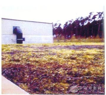 生物过滤除臭系统