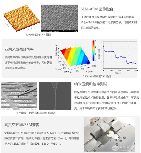 EM-AFM 电镜原位原子力显微镜