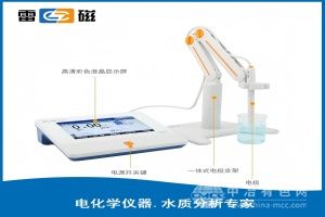 上海雷磁