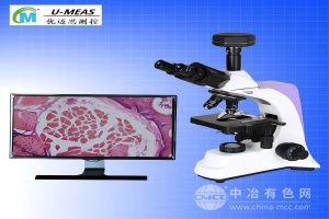  UMEASMC