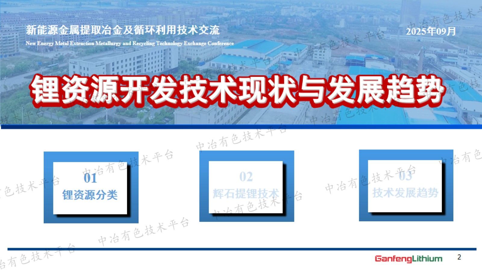 锂资源开发技术现状与发展趋势