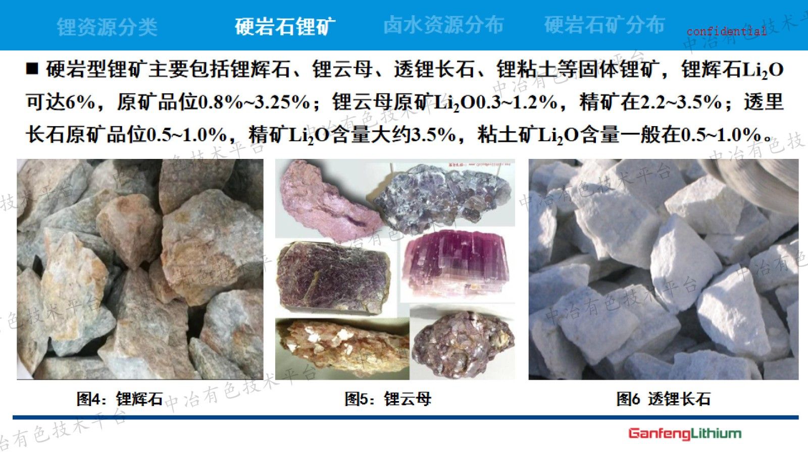 锂资源开发技术现状与发展趋势