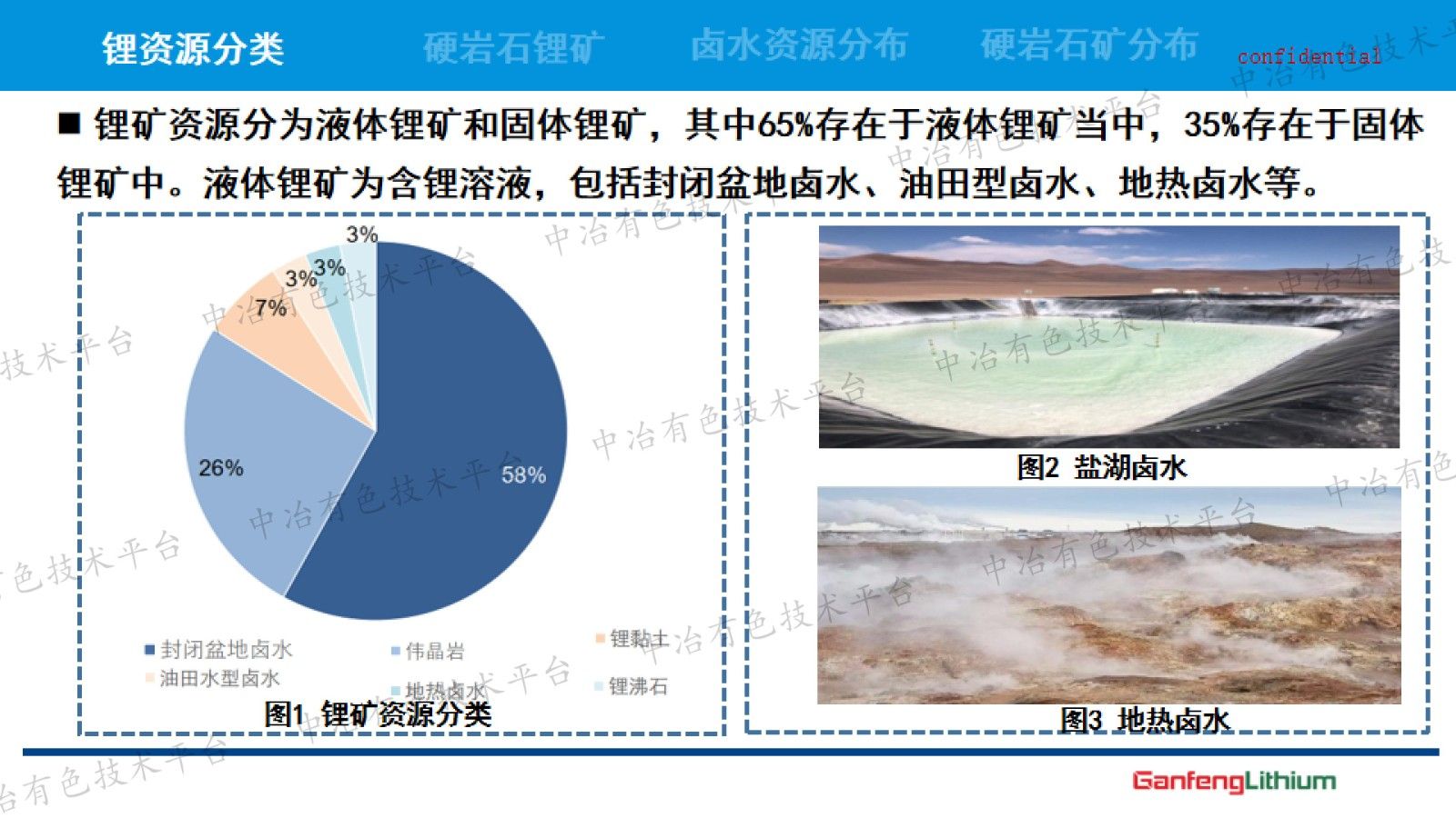 锂资源开发技术现状与发展趋势
