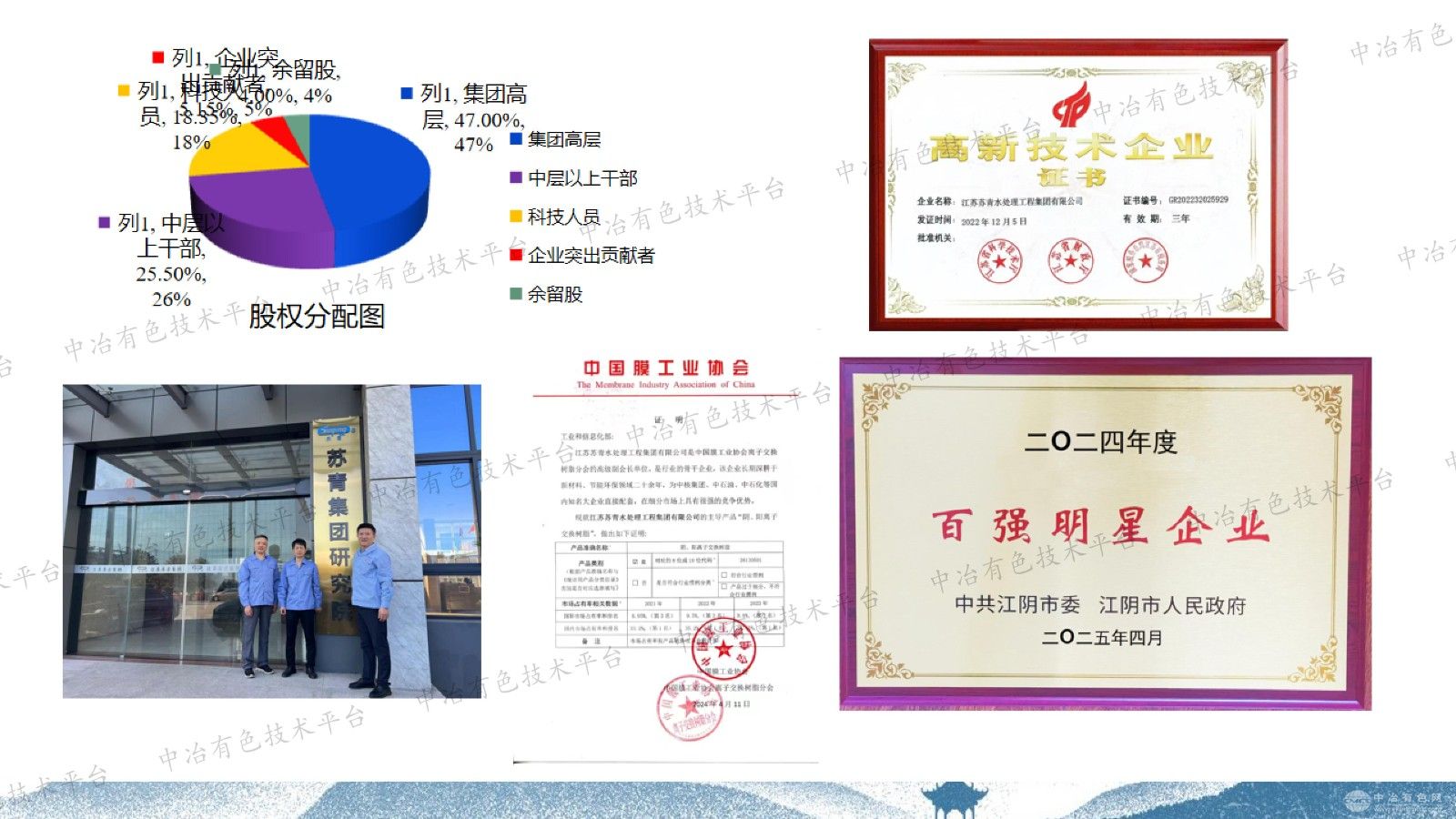 高效吸附剂与离子交换树脂在盐湖资源提取中的应用