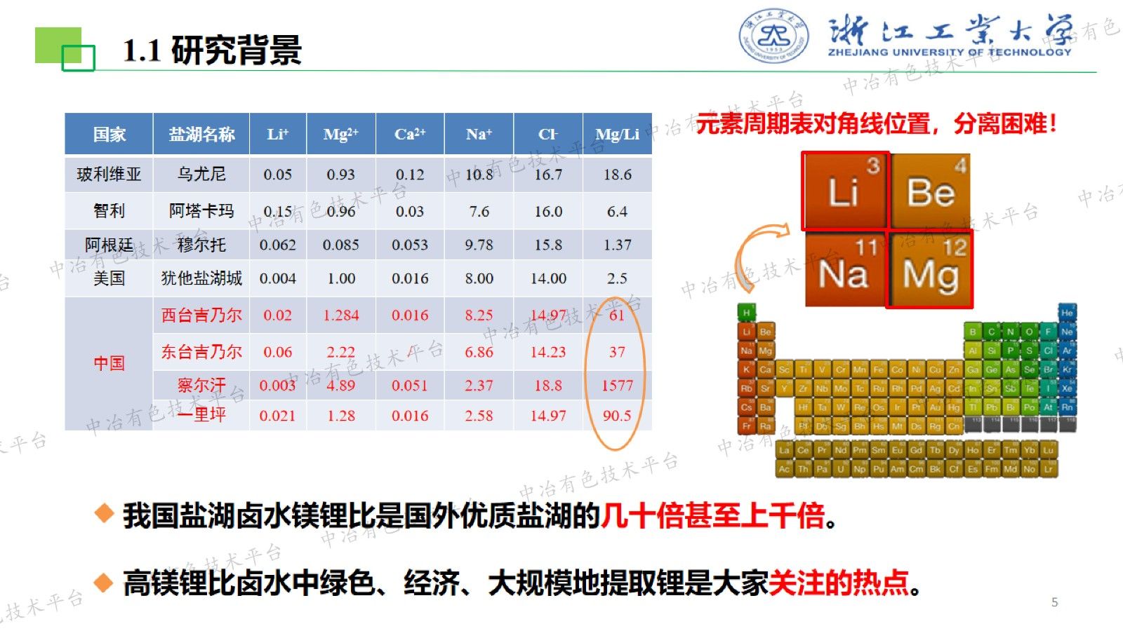 面向盐湖提锂的离子交换膜研发及产业化