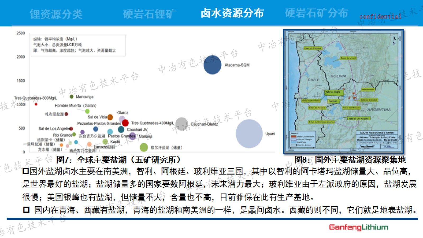 锂资源开发技术现状与发展趋势