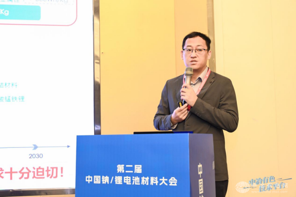 中南大学陈立宝教授 作大会报告