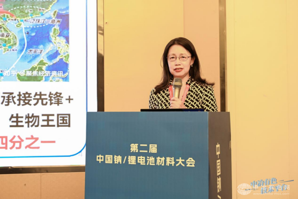 昆明理工大学张英杰教授 作大会报告