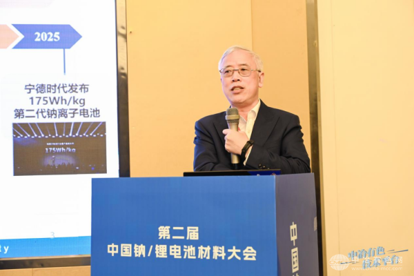 中南大学唐有根教授 作大会报告